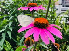 -苏州河梦清园环保主题公园