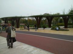 -武清南湖绿博园