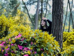 -南山植物园