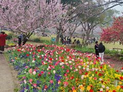 -苏州上方山国家森林公园