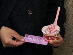 -红楼HONGLOU Gelato(淮海中路店)