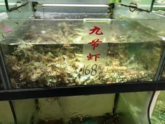 -联邦酒楼