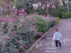 -人民公园(罗湖区)