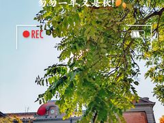 -天津五大道文化旅游区