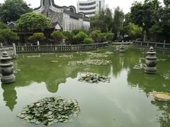 -碧江金楼
