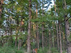 -长春市南湖公园