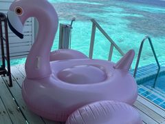 -中央格兰德岛温泉度假酒店 - 全包