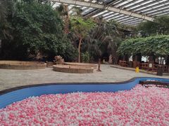 -龙达温泉生态城