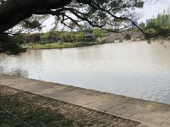 -江心屿景区