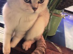 -MIKAKU(万达广场上海宝山店)