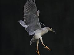 -重庆彩云湖湿地公园