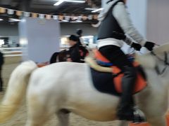 -骑乐马术(广州奥体优托邦中心)