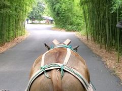 -杭州双溪漂流景区