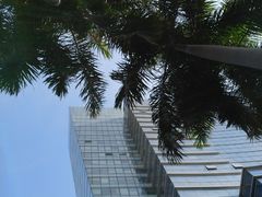 -中信银行(深圳城市广场旗舰支行)