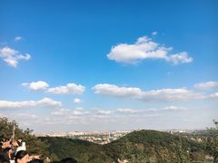 -上海佘山国家森林公园西佘山园