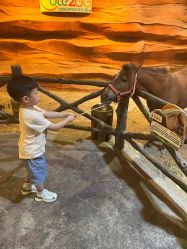 -酷嗒动物文化乐园(cutezoo西溪乐天城店)