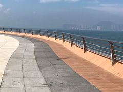 -演武大桥观景平台