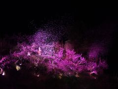 -常德桃花源景区