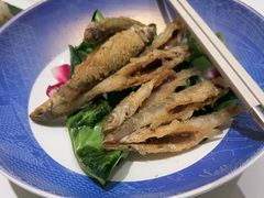 -国惠大酒楼(宝龙店)