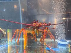 -ONE FULL 古董港式海鲜火锅