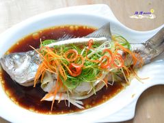 -黄鹤楼湖北特色菜(高碑店)