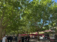 -朝阳公园游乐园