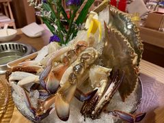 梭子蟹-尚海豆捞(乐虹坊店)