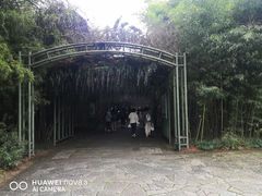-苏州太湖国家湿地公园
