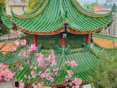 -宝墨园景区