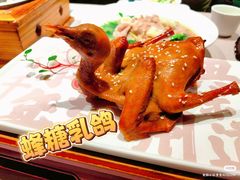 -大鸽饭(体育西路店)