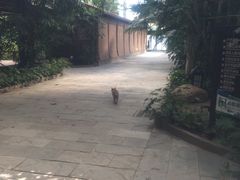 -龙达温泉生态城