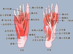 -广州中医药大学第一附属医院(总院)