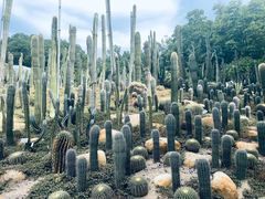 -深圳仙湖植物园