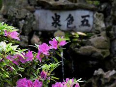 -上海醉白池公园