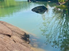 -广州白江湖森林公园