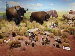 -陕西自然博物馆