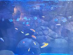 -海合安成都极地海洋公园