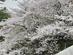 -杭州少年儿童公园
