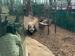 -大连森林动物园