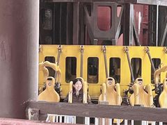 -南昌融创乐园