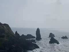 -涉地可支