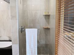 -新加坡文华东方酒店