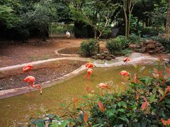 -杭州动物园