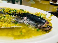 雪菜川乌-宁波石浦大饭店(新材料城店)