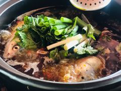 -老杨砂锅鱼庄