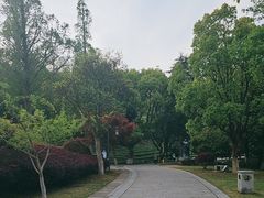 -敬亭山风景名胜区