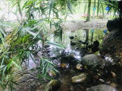 -温江公园