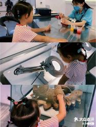 -恐龙探索乐园(磁器口店)