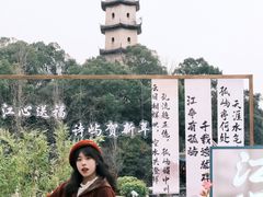 -江心屿景区