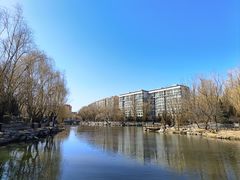 -三忘湖 SWANSEEN(柳荫公园店)